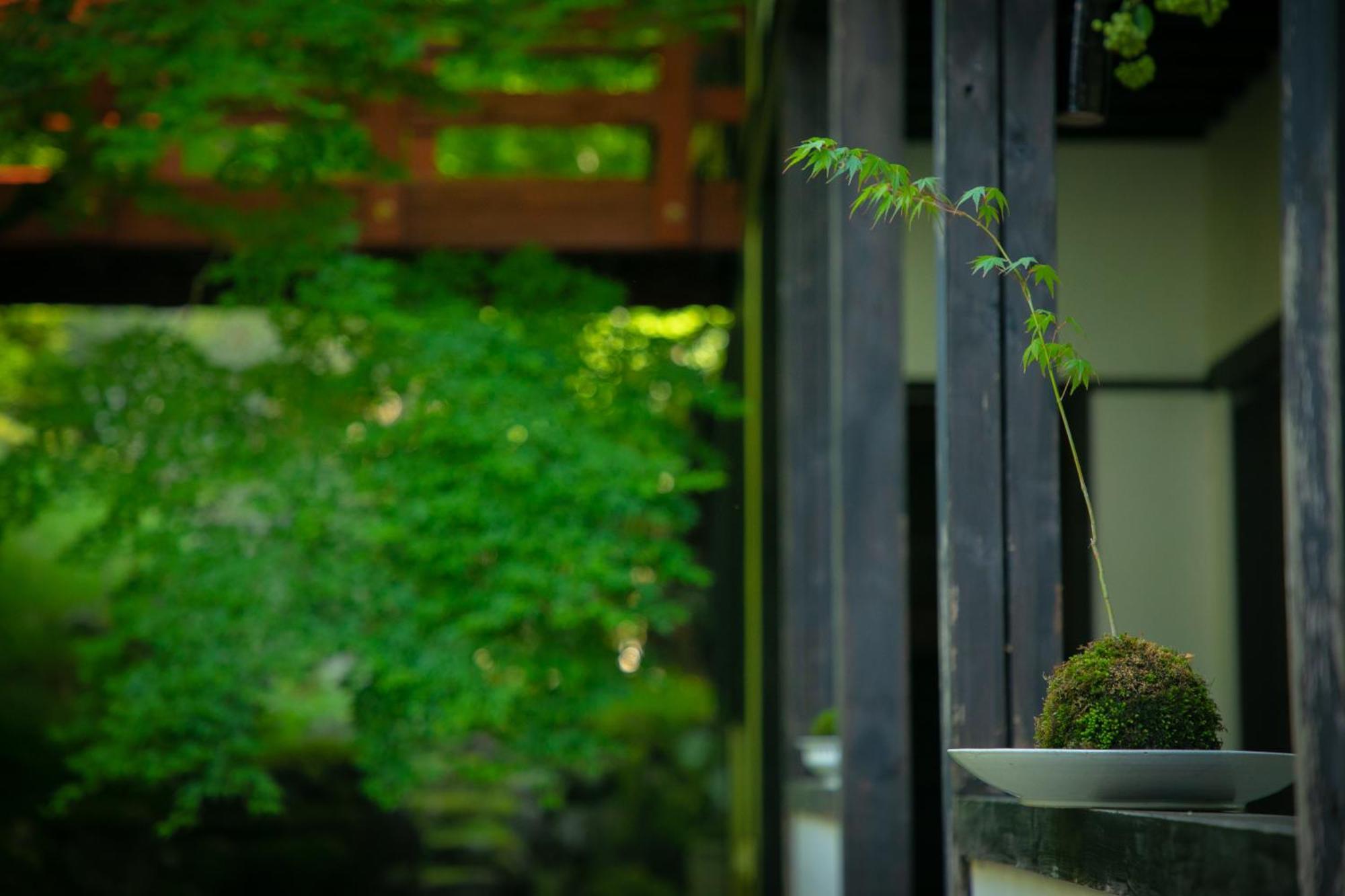 Yumoto Ueyama Ryokan Химедзи Экстерьер фото